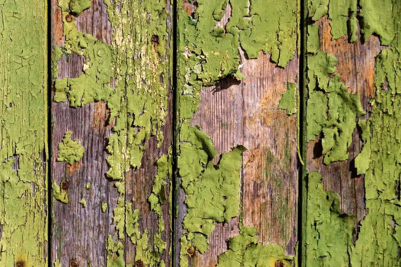 5 sposobów na łatwe usunięcie zielonej pleśni z drewnianego tarasu