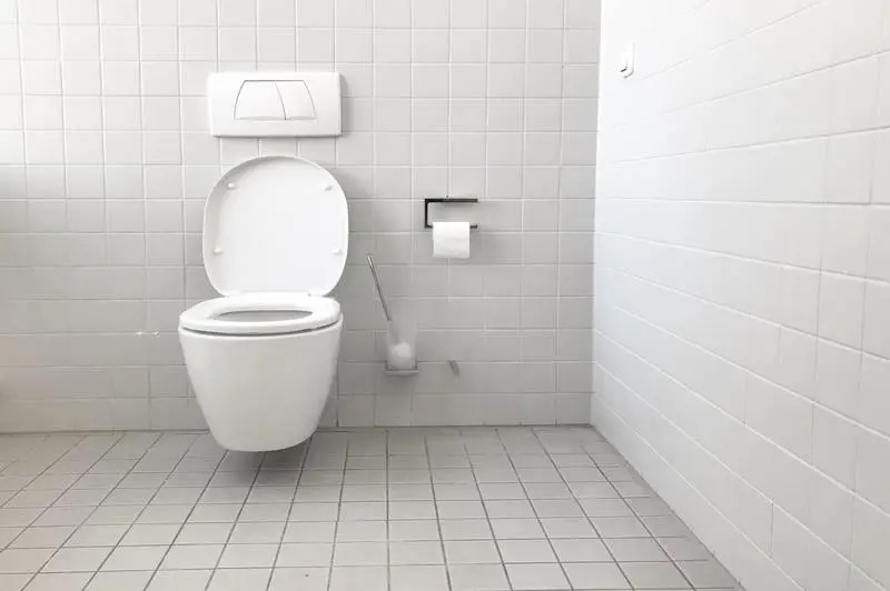 Co to jest toaleta o wysokości krzesła? Prosty przewodnik i 4 najlepsze typy