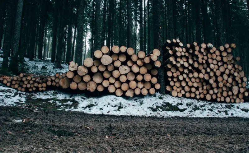 Gdzie kupić drewno do pieca opalanego drewnem? 3 niezawodne opcje!