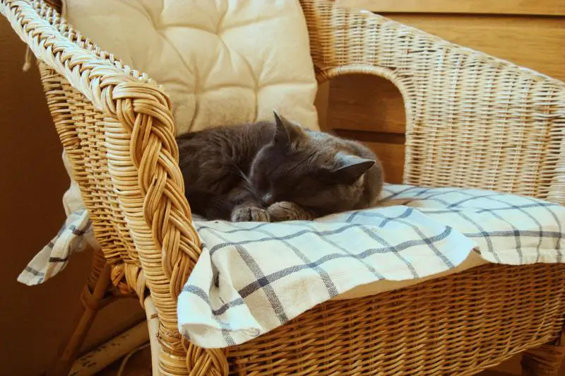 Gdzie mogę wypróbować idealne krzesło do spania? Idealny przewodnik