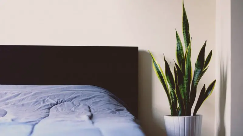 Jak naprawić zwisające łóżko? 6 najlepszych metod!