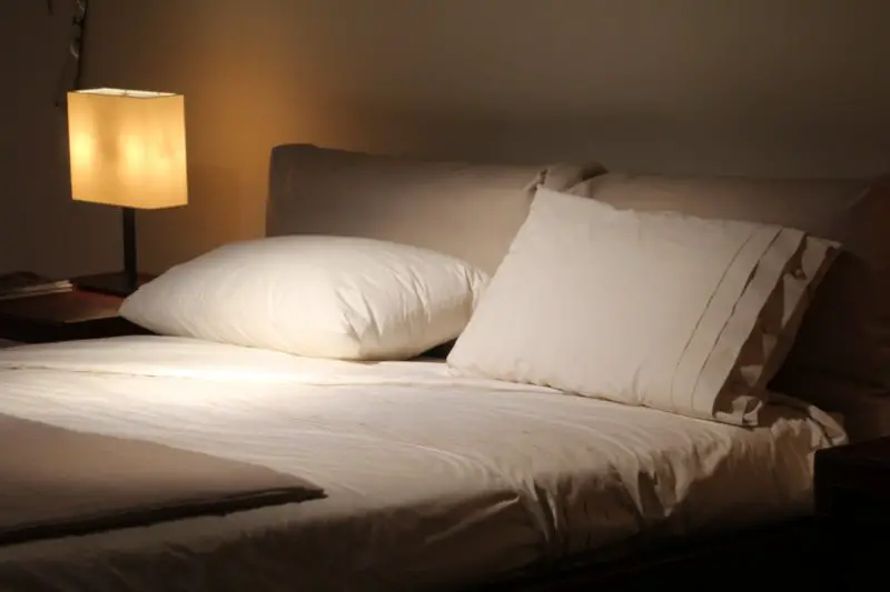 Jak pozbyć się pcheł w łóżku? 5 prostych kroków!