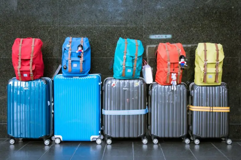 Jak pozbyć się pluskiew w ubraniach i bagażu? 5 prostych kroków!