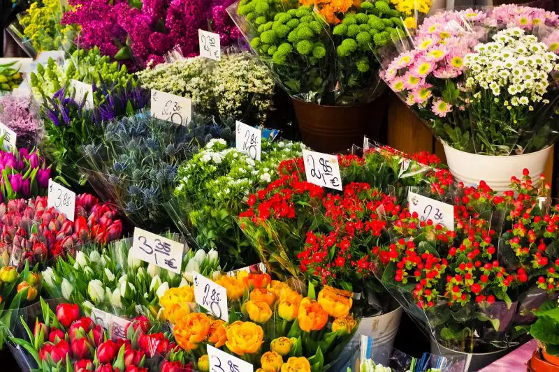 Jak sprzedawać kwiaty cięte z małego ogrodu lub farmy?