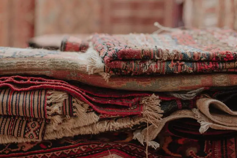 Jak usunąć pleśń z dywanu: 4 łatwe rozwiązania dla majsterkowiczów