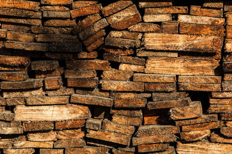 Jak usunąć pleśń z surowego drewna: 5 prostych kroków DIY