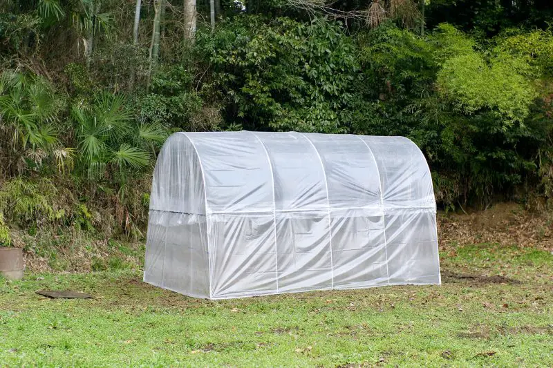 Jak zakotwiczyć namiot z tunelem foliowym na swoim podwórku?