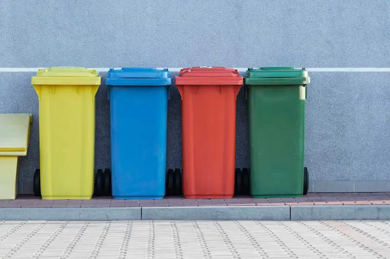 Dlaczego w koszach na śmieci jest pleśń? Łatwy 5-etapowy przewodnik usuwania