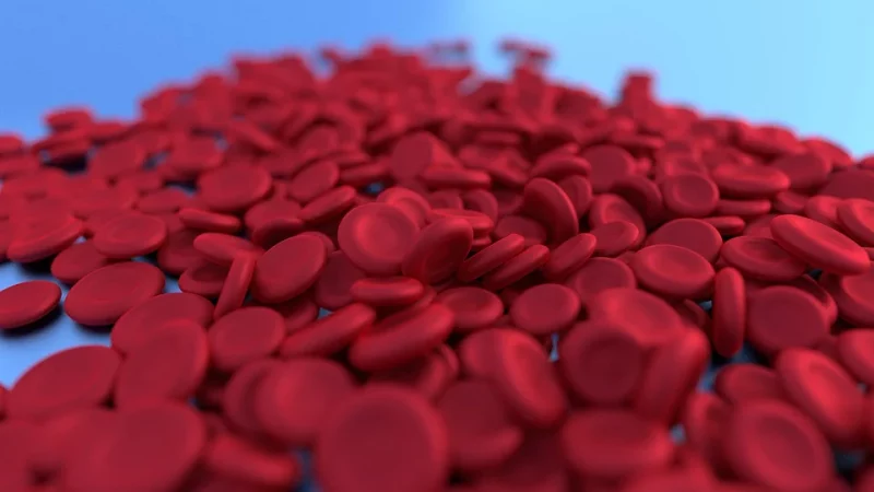 Ile spada hemoglobiny po oddaniu krwi? Ciekawe fakty