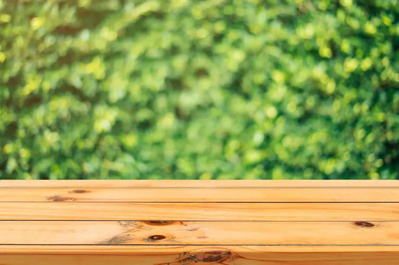 Jak zapobiegać powstawaniu pleśni na niepomalowanym drewnie: 3 podstawowe wskazówki?