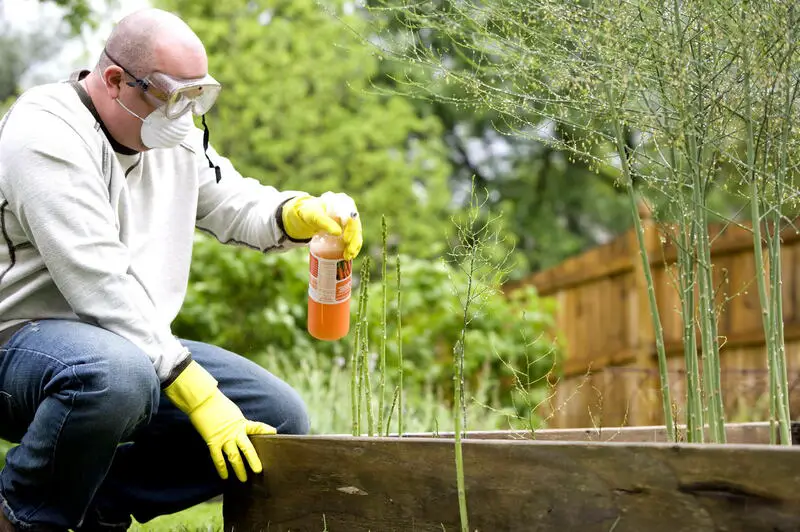 Jakie są zagrożenia związane ze stosowaniem pestycydów? 7 ważnych wskazówek